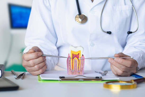 Best Knocked-Out Tooth Emergency  in Reedsburg, WI